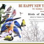 2012,新年の挨拶（New yeaｒ´s card)