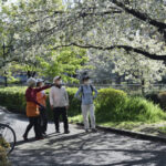 サクラ、さくら、桜−2021.3〜4月-総集編１