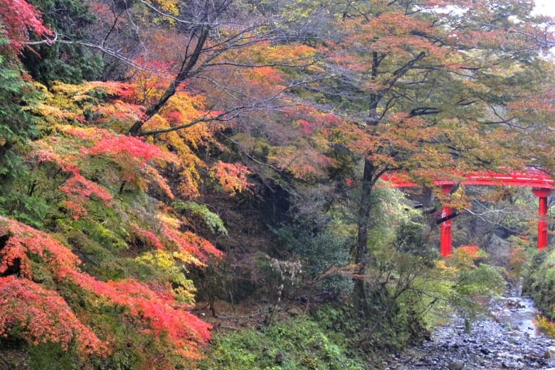 高野山2015年秋の紅葉風景　　　　—2015．11．10～14—